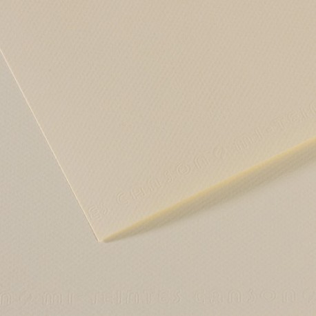 CANSON Manipack de 25 feuilles papier dessin MI-TEINTES 160g