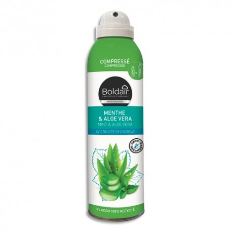 BOLDAIR Aérosol compressé de 250 ml destructeur d'odeurs superficie de 20 m² menthe aloé vera.