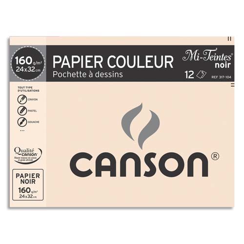 Feuille de papier dessin Mi-teintes - Noir CANSON 200361014