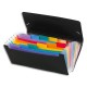 Trieur chèque Viquel RAINBOW 12 compartiments en polypro 7/10, noir intérieur multicolore, 26x13cm 